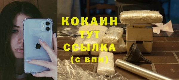 стаф Баксан