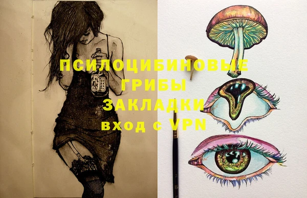 стаф Баксан