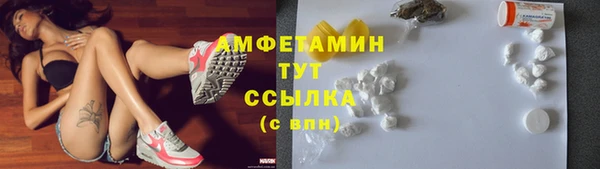 стаф Баксан