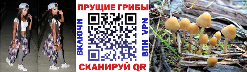 Галлюциногенные грибы Magic Shrooms  Спасск 